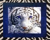 ~NM~ white tiger cuddle