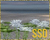 SSD Flower-Lotus-B