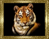 Flashing Tiger Sticker