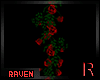 𝓡𓄿 Red Roses