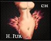 [CH] Tr/Or H. Fur
