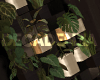 !D Luxury wall plants
