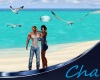Cha`Honeymoon Seagulls 2