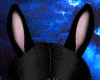 Anim Bunny ears