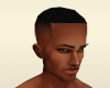 LH Bald Fade