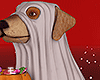 Ghost Halloween Doggy
