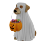 Dog ghost halloween