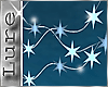(K) Lure Ice Lights/Anim