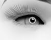 TRU GREY EYES