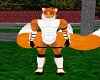 Fox Ninja Hood M V1