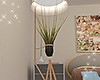× Plant + Lamp