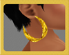 Gold Curl Earrings