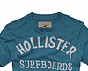 Hollister SurfBoards