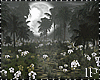 Night Earth Nature Dark