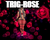 rose lights