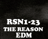 EDM - THE REASON