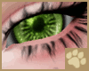 ~AM~ Sumadier Eyes v1