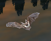 Animated Flying Bat
