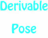 Derivable Pose