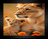 🦁 Lion Mom and Cub BG