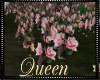 !Q Pink Flowerfield