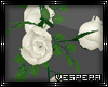 -V- Ivory Roses