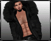 Winter Black  Bundle