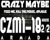Crazy Maybe-House (2)