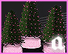 Pink potted light trees