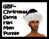 GBF~Santa Hat Purple