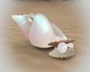 Pearl Shells