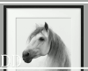 Horse Frame 04