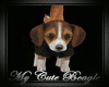 Beagle Puppy Carrier