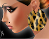 ./Nev/. Wild: Leopard