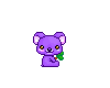 Purple Koala