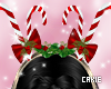 Christmas Crown