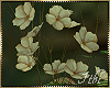 -I- Greenhouse Fl Cream