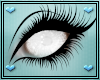 Dotty Eyes V2