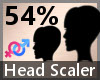 Head Scaler 54% F A