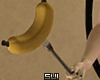 Banana and Poses