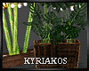 -K- Plants Decor
