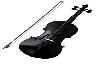 black violon 