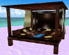 Beach Couch w/Poses