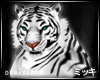 ! Mirana White Tiger Pet