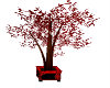 aisan red tree