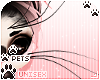 [Pets] Dei | whiskers