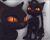 Witch Black Cat Pet