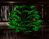 :G: Shadow plant2