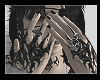 shy