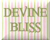 Devine Bliss Plant